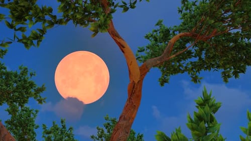 Moonlit Night Sky Animated Landscapes with Asian Temple