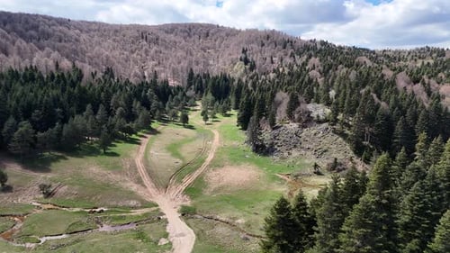 Plateau In The Middle Of Forest