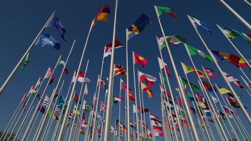 Many Country Flags Waving in the Breeze Under Sky