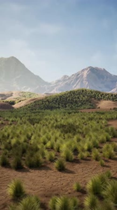 Vast Grass Field With Distant Mountains