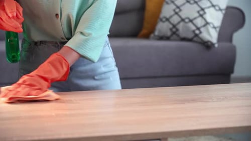 Woman Cleans Table with Spray and Cloth