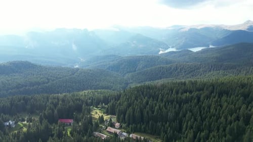 Flying Over Forest 4k