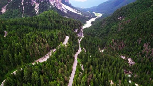 Country Road And Thick Aspen Trees Down The Mountain Alps In Italy. Aerial Tilt-up Shot