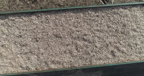 Woodworking Recycling of Tree Trunks Into Splinters View From Height on a Freight Train Loaded with