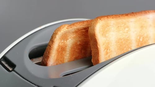 Close up of Toast in Toaster