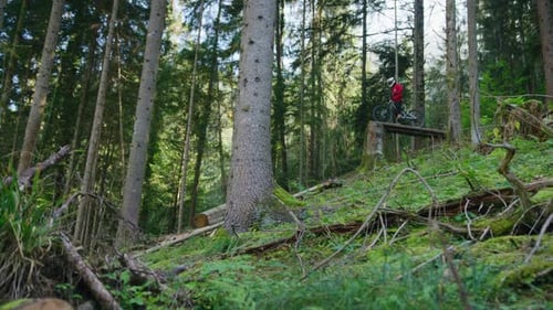 A mountain biker speed checks a tall jump in a forest