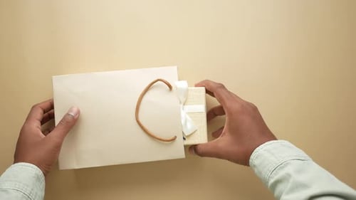 Gift with White Bow Removed from Shopping Bag