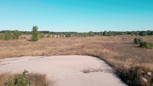 Overgrown grass surrounding an old motel.
