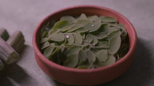 Bowl of Fresh Moringa Leaves Close Up