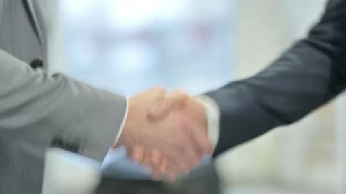 Business Professionals Sealing an Agreement with a Handshake