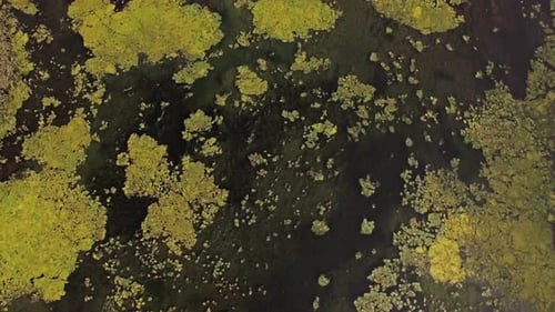 Aerial Marsh Landscape at Sunset