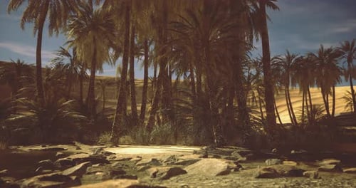 Lush Palm Grove Beside a Tranquil Oasis in the Desert Landscape