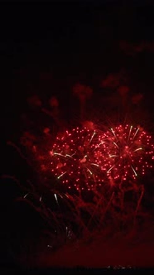 Stunning Fireworks Festival Display Illuminating the Night Sky with a Captivated Crowd Enjoying the