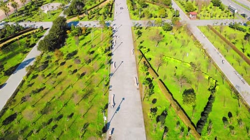 Resort town of Batumi in Georgia. Aerial view of green park on sunny day