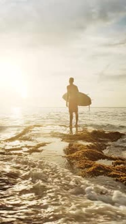 Surfer Standing on the Beach at Sunset Holding His Surfboard