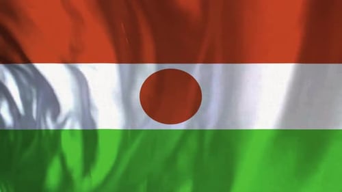 Niger Flag Realistic Waving Loop Animation