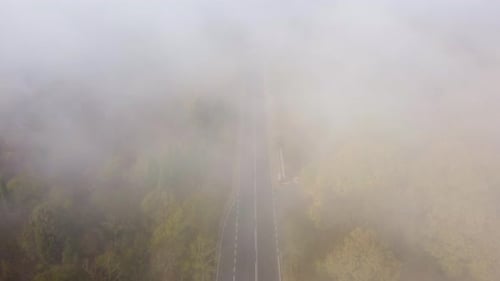 Asphalt Road Highway in an Autumn Fog Forest Aerial View