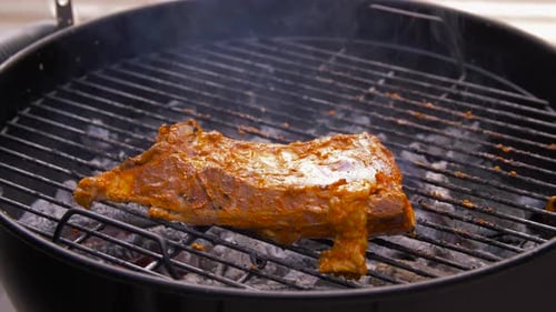 Barbecue meat roasting on brazier grill outdoors a culinary food concept
