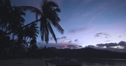Palm Tree At Sunset On The Beach With Boats