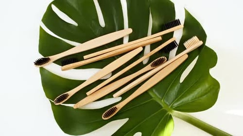 Eco-Friendly Bamboo Toothbrushes on a Green Leaf