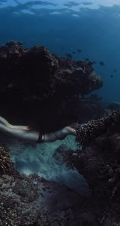 Free Diving with Sporty Woman Freediver in Blue Ocean Between Corals Vertical Screen