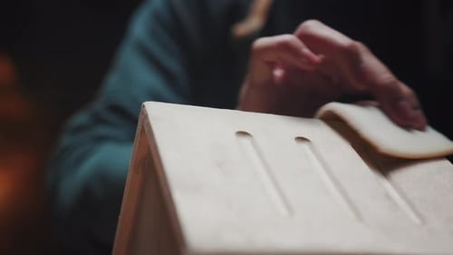 Fabrication artisanale de maisons en bois pour oiseaux et animaux Entreprise familiale dans un atelier de menuiserie