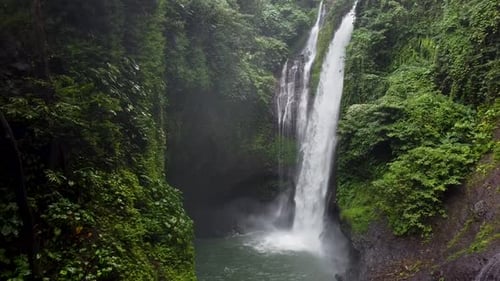 Stunning Waterfall Cascading in Lush Rainforest