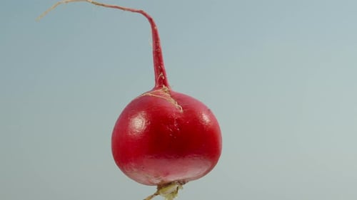 A red radish rotates against the background of a blue sky in close-up.