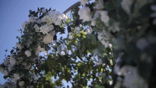 Wedding Archway with Roses and Hanging Lights