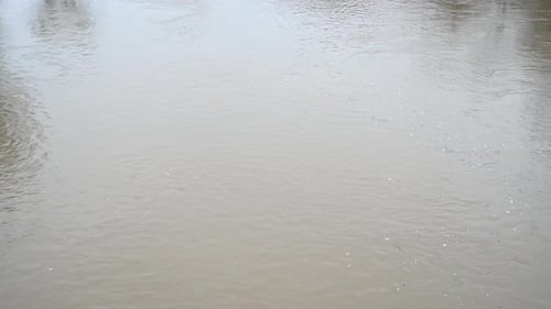 Flussüberflutung in den Auen Europas