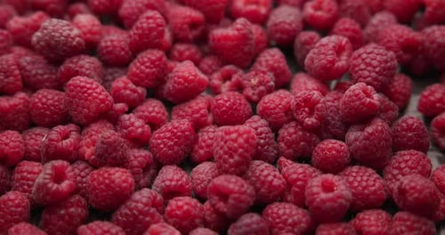 Healthy Organic Fresh Juicy Raspberry Fruit Berrie Macro Background