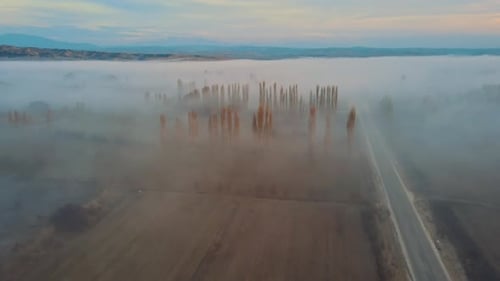 Foggy Road