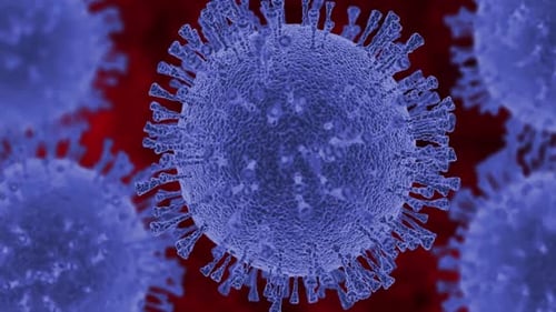 3D Animated Microscopic View of Rotating Virus Cells