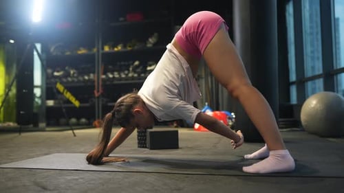 Sporty Woman in Activewear Doing Exercise in Gym