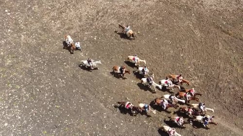 Aerial View of Horses and Riders in Field