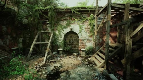Exploring the Overgrown Ruins of an Old European Mansion in Daylight
