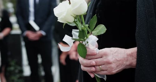 Flower, funeral and hands of woman by graveyard for remembrance, mourning or grief at service