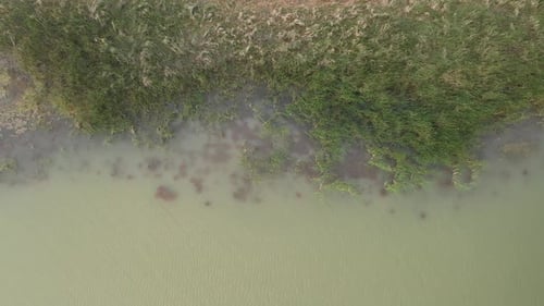 Vue aérienne des prairies dans le lac
