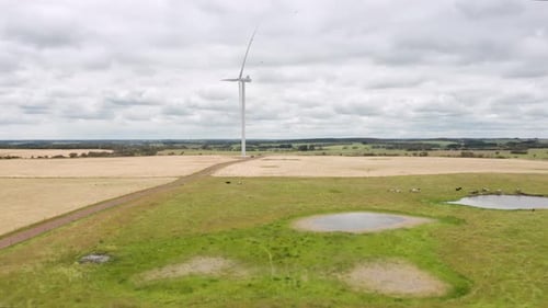 Large wind turbine on a farm with cows, birds and trees. Environmentally friendly sustainability. 4k