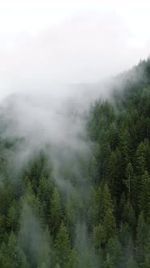 Aerial View of Beautiful Mountain Landscape Fog Rises Over the Mountain Slopes