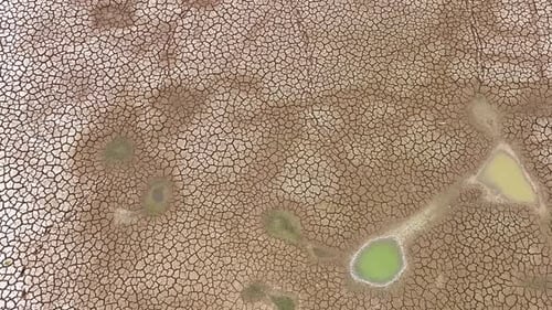 A parched, cracked earth, showcasing the severe effects of drought.