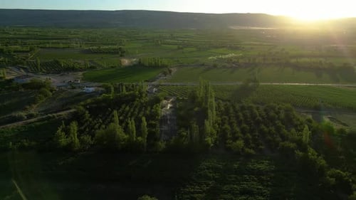 Automatic irrigation systems are used in agricultural fields