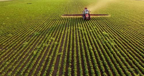 Aerial shot captures a tractor working in vibrant green fields under the golden sun