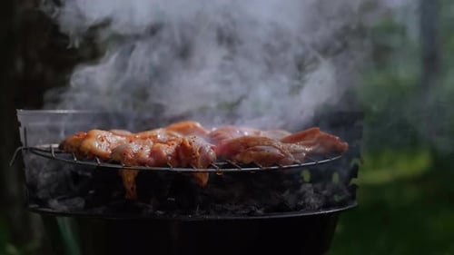 Seasoned Chicken Grilling Outdoors