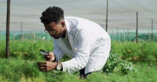 Greenhouse, magnifying glass and scientist for plant development, agriculture enviroment innovation