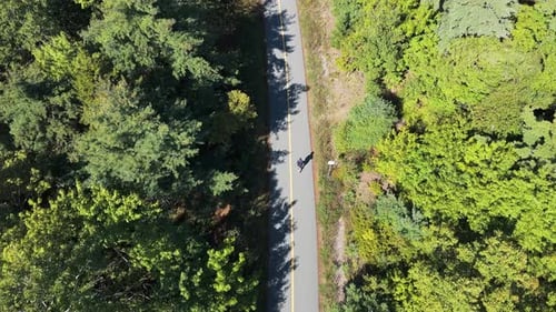 Top Down View Man Running Through Lush Green Park Trail In Bright Morning Light