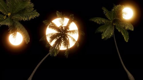 Three palm trees and three suns on a transparent background with an alpha channel.