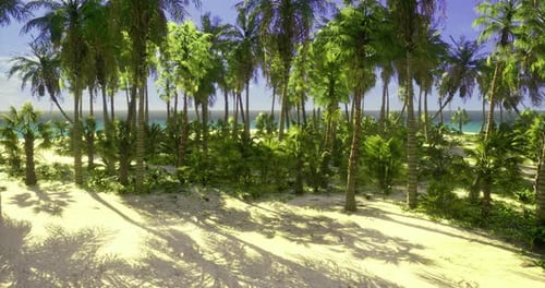 Tropical Beach with Palm Trees and Clear Blue Skies Near the Ocean