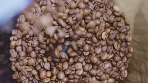 Coffee Beans are Poured Into a Coffee Grinder in a Cafe