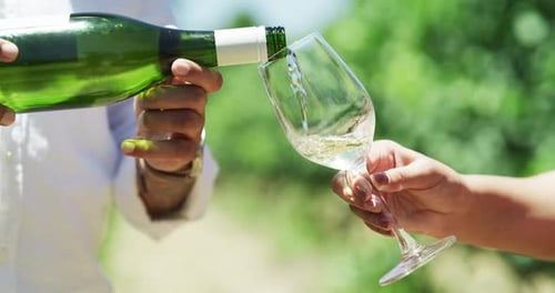 4k-Videomaterial eines unkenntlichen Mannes, der seiner Freundin Wein auf einen Weinberg gießt
